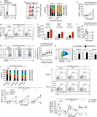 TCR-CD3 signal strength regulates plastic coexpression of IL-4 and IFN-γ in Tfh-like cells